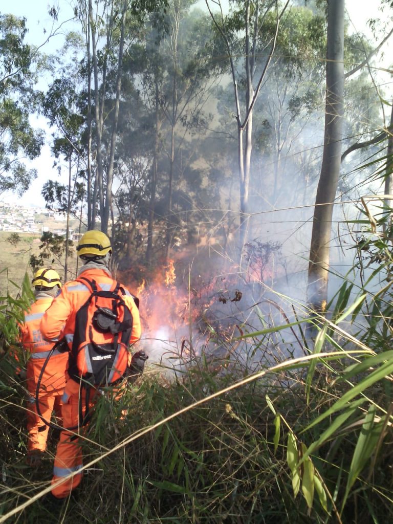 fogo 1 Incêndios causam danos em SL e região