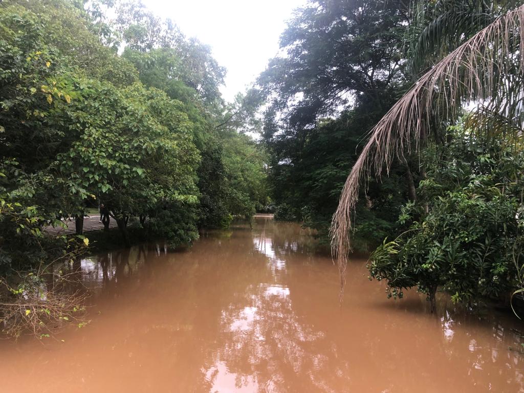 rio 2 Chuvas dos últimos dias em São Lourenço e região elevaram o nível do Rio Verde e afluentes