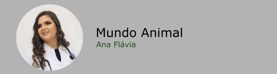Banner AnaFlavia Mundo Animal