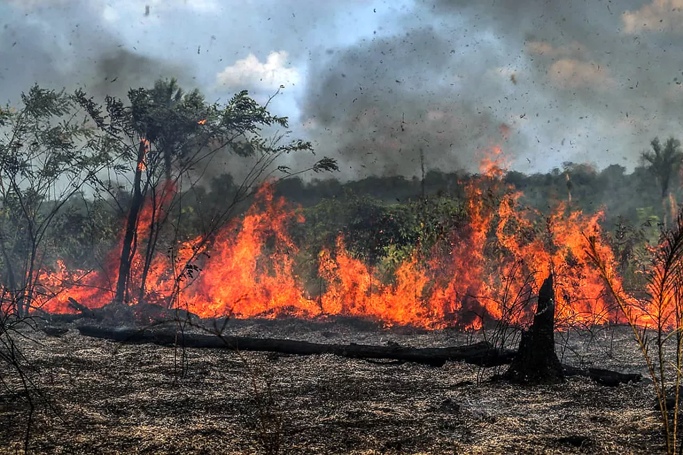 age20190828130 Poder público e sociedade civil pedem criação de Secretaria Municipal de Meio Ambiente