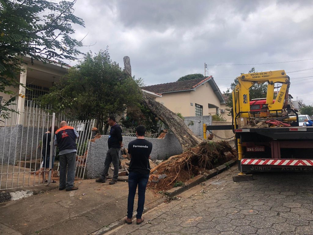 casa 3 Defesa Civil faz remoção da árvore arrancada pela ventania