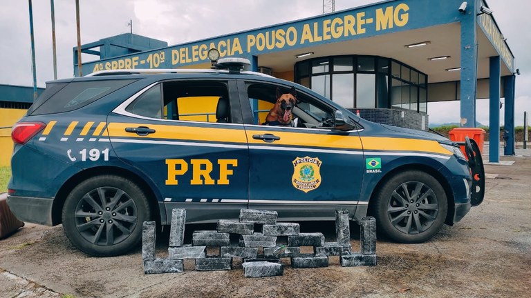 prf droga PRF apreende cerca de 32 kg de maconha e prende passageira de ônibus em Pouso Alegre