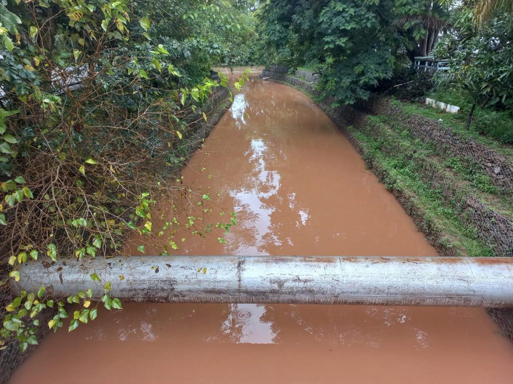 Rio Verde está dentro da normalidade apesar da chuvarada! 1 rio Rio Verde está dentro da normalidade apesar da chuvarada!
