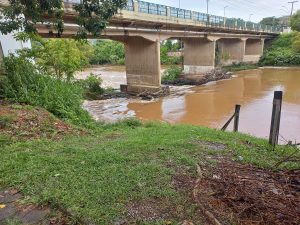 rio verde Recuperação de matas ciliares e nascentes está em análise na Câmara