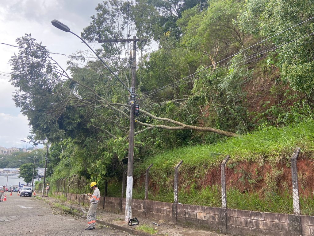 arvore 3 Queda de árvore deixa moradores e empresários sem energia por quase 24 horas