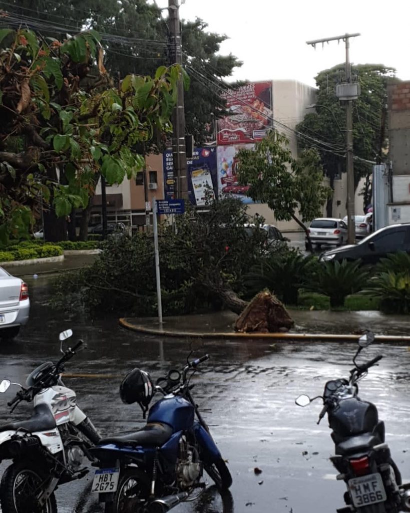 temporal 2 Temporal derruba diversas árvores, alaga ruas e causa muito transtorno em São Lourenço