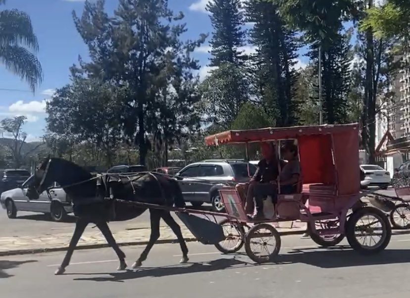 charrete capa Faltam menos de 100 dias para fim das charretes em São Lourenço