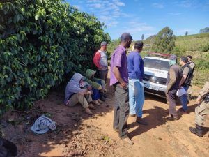 Trabalhadores resgatados em lavouras de café