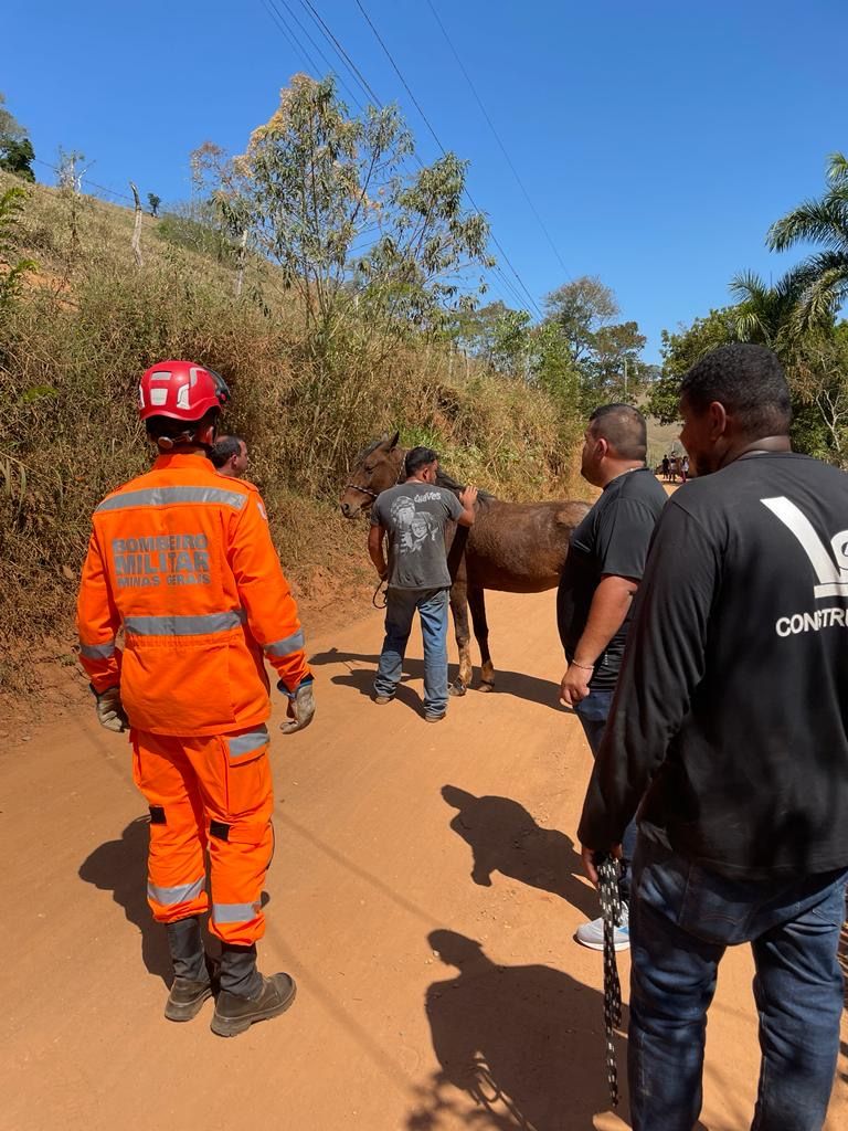 a68e9f6d f2fb 4afa b645 1c9a4c4341c9 Bombeiros salvam cavalo em Pouso Alto, MG