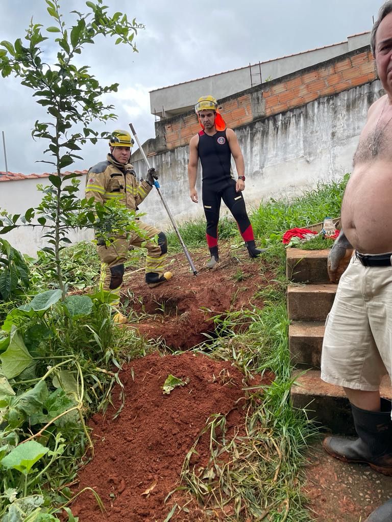 1767621f 71fe 4d15 a383 9fc2c6b2a87b Bombeiros de São Lourenço resgatam cães presos em buraco