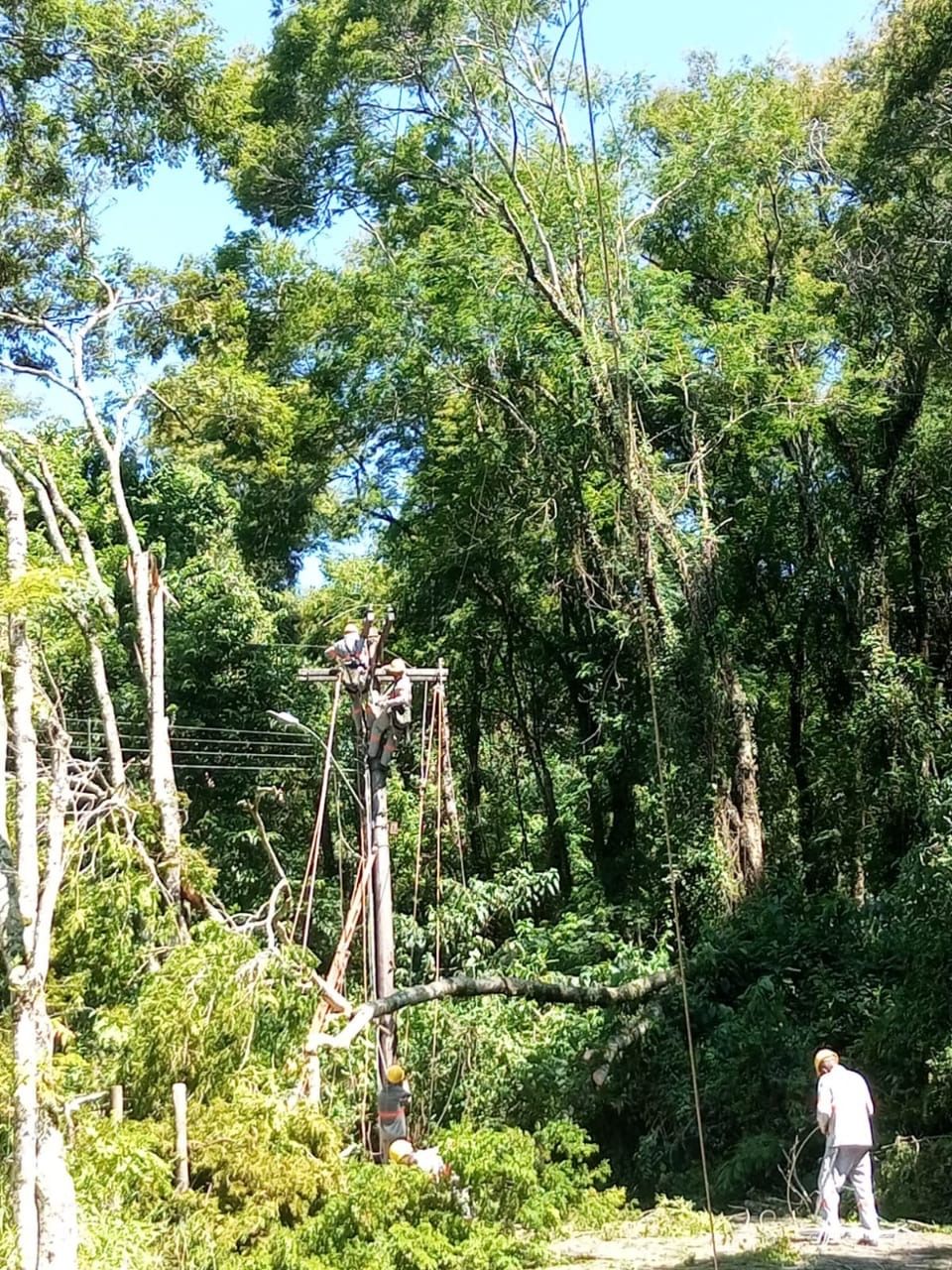 9d903ca8 271c 4ed4 a167 1d5e273a38a0 Cemig restabelece energia em locais atingidos pelo temporal em São Lourenço