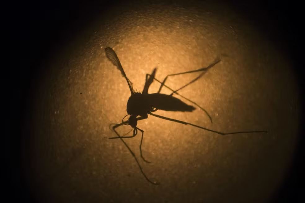 IMG 5390 Casos de dengue passam dos 30 mil no Sul de Minas; quatro mortes já foram confirmadas