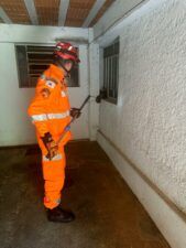 Imagem do WhatsApp de 2025 04 01 as 15.55.33 1d3772f0 Filhote de raposa-do-campo é resgatado em janela de residência no centro de Baependi