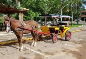 Imagem do WhatsApp de 2025 05 05 as 18.45.49 860457cd Caxambu caminha para o fim das charretes