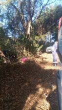 Imagem do WhatsApp de 2025 07 27 as 09.57.26 0ca1490e Jovem morre após sofrer queda de bicicleta na Montanha Sagrada em São Lourenço