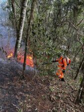 WhatsApp Image 2025 10 07 at 08.18.20 Bombeiros combatem incêndio de grandes proporções na zona rural entre São Lourenço e Pouso Alto