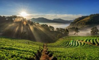 WhatsApp Image 2025 12 10 at 17.48.02 Contato