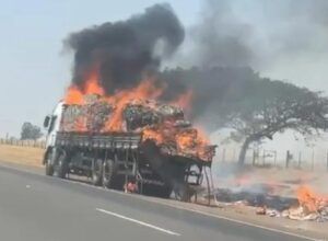 São Lourenço Jornal - Noticias das região do Sul de Minas 16 WhatsApp Image 2026 02 19 at 10.35.45 São Lourenço Jornal - Noticias das região do Sul de Minas