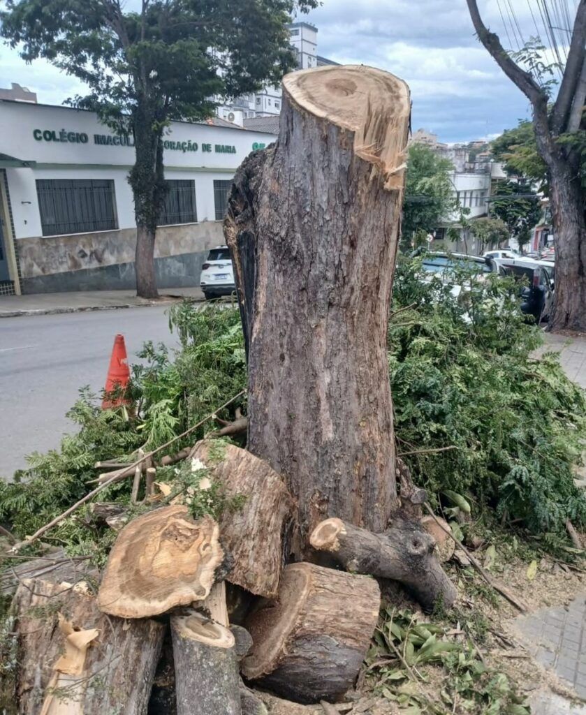 São Lourenço Jornal - Noticias da região do Sul de Minas 7 WhatsApp Image 2026 03 31 at 08.34.53 São Lourenço Jornal - Noticias da região do Sul de Minas