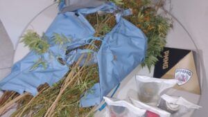 WhatsApp Image 2026 05 04 at 08.54.40 Dois homens são presos com plantação de maconha em Carmo de Minas