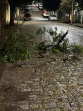 Tempestade provoca estragos no Sul de Minas e São Lourenço também registra fortes ventos 1 WhatsApp Image 2026 05 18 at 09.33.52 1 Tempestade provoca estragos no Sul de Minas e São Lourenço também registra fortes ventos