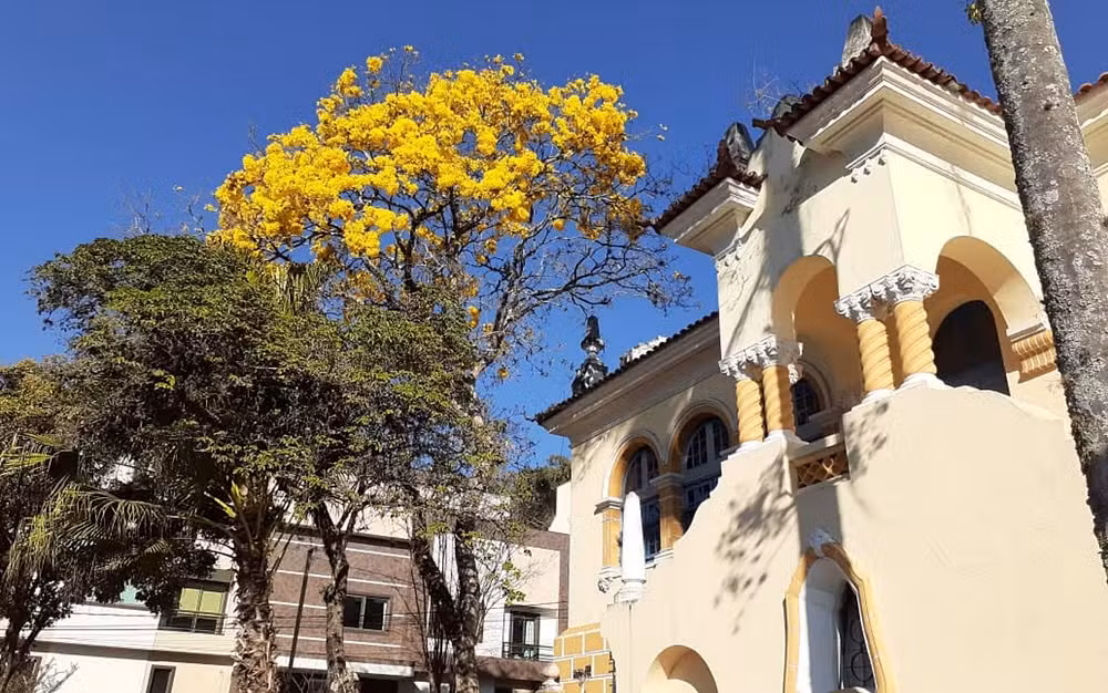 472744672 997748229067924 9217206200512146257 n Diretora é investigada após denúncia de que teria feito criança ingerir a própria urina em escola Caxambu-MG