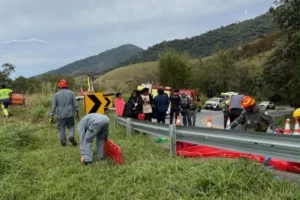 image 2 233 O motorista do ônibus que caiu na serra em Cruzeiro, afirmou à Polícia que perdeu o controle do veículo